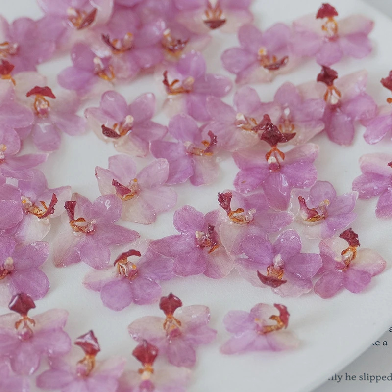 Natural Pink Resin Orchid DIY  - Jewelry Making Event avis et prix